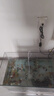 珠葛亮魚(yú)缸氧氣泵增氧泵養魚(yú)小型過(guò)濾器三合一一體制氧用品大全小 標準1瓦-單頭十字調氣閥[較靜] 曬單實(shí)拍圖