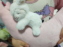 名創(chuàng  )優(yōu)品（MINISO） 羊咩咩系列-暖白小羊公仔毛絨玩具抱枕睡覺(jué)生日禮物女 月亮款 曬單實(shí)拍圖