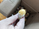東北姑娘果新鮮當季水果酸甜燈籠果甜菇娘果整箱特產(chǎn)源頭直發(fā)包郵 【帶箱0.5斤】 單果5g+ 曬單實(shí)拍圖
