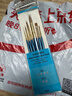 溫莎牛頓【弗洛伊德同品牌】混合貂毛水彩畫(huà)筆專(zhuān)業(yè)水彩顏料畫(huà)筆勾線(xiàn)筆進(jìn)階畫(huà)家專(zhuān)用水彩畫(huà)筆6支套 曬單實(shí)拍圖