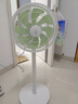 鉆石牌（DIAMOND）電風(fēng)扇家用【1級能效+直流變頻+純銅電機】落地扇臺地兩用搖頭大風(fēng)量輕音臥室客廳小風(fēng)扇ZBM08 【一級能效】8葉直流變頻搖頭款 曬單實(shí)拍圖