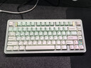 TickType機械鍵盤(pán)EVO75三模2.4G藍牙HiFi客制化鋁坨坨鍵盤(pán) 陽(yáng)極淡綠 淺淺棕PP（悶軸） 曬單實(shí)拍圖