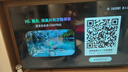米小創(chuàng)造電視彩電【全網(wǎng)熱銷榜一】超清4K智能語音網(wǎng)絡(luò)75英寸大屏電視機(jī)無邊框無線投屏144HZ客廳防爆 75英寸 智能高端旗艦版 售后無憂+送貨上門+品牌延保+語音AI+免費(fèi)安裝 曬單實(shí)拍圖