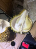 榴戀萊新鮮泰國進(jìn)口金枕榴蓮水果鮮榴蓮時(shí)令 巴掌新鮮榴蓮水果 精選凈重2.1-3.1斤(2-4房） 曬單實(shí)拍圖