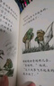 【信誼】青蛙和蟾蜍 （套裝4冊）（5-10歲）凱迪克銀獎?dòng)仔°暯訕蛄和瘯?shū)繪本 一升二銜接 小升初銜接 曬單實(shí)拍圖
