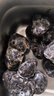 京鮮生&云芳齋 云南野生黑松露粉120g 天然0添加送禮家宴烘焙源頭直發(fā) 曬單實拍圖