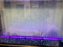 森森森森魚(yú)缸氧氣泵增氧機家用養魚(yú)打氧機養魚(yú)小型YQT-120 8W 裸泵 曬單實(shí)拍圖