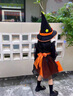 G.DUCKKIDS洛麗塔公主裙女童連衣裙春秋萬(wàn)圣節女巫南瓜裙演出服兒童裙子秋裝 裙子+裙撐+帽子+毛衣 110尺碼4~5歲【100-110cm】cm 曬單實(shí)拍圖