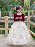 DOMIAMIAKIDS女童禮服高端輕奢兒童生日公主裙秋冬主持人演出服女紅色長(zhǎng)袖 紅色長(zhǎng)裙 【贈(zèng)裙撐】 均碼 160cm 曬單實(shí)拍圖