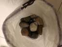 壽禾 鵝卵石石頭大塊水族箱魚(yú)缸盆栽裝飾鋪路 2-4cm天然精拋鵝卵石1kg 曬單實(shí)拍圖