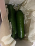 壽光水果黃瓜山東時(shí)令果蔬小青瓜蔬菜火鍋食材清脆爽口產(chǎn)地直發(fā) 水果黃瓜帶箱5斤【劃算】 曬單實(shí)拍圖