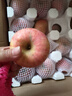 京鮮生山東煙臺紅富士 蘋(píng)果 凈重9斤單果200g+  新鮮水果 源頭直發(fā) 曬單實(shí)拍圖