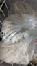 九陽(yáng)（Joyoung）面條機大容量全自動(dòng)多功能壓面機 家用和面機 電動(dòng)餃子皮機JYN-L12 曬單實(shí)拍圖