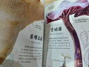 DK珍奇博物館（礦物+真菌）（全2冊）   英國DK公司著(zhù) DK珍奇博物館系列  6歲以上 兒童科普讀物 曬單實(shí)拍圖