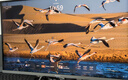 海信G7 Ultra 27英寸3A原畫(huà) 黑曜屏 1152分區 MiniLED DP2.1 4K160Hz雙模 320Hz HDR1400 電競顯示器 曬單實(shí)拍圖