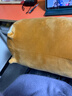 名創(chuàng  )優(yōu)品（MINISO）柴犬系列毛絨公仔趴姿玩具娃娃抱枕睡覺(jué)室內臥室辦公室生日禮物 曬單實(shí)拍圖
