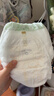 babycare金山茶花拉拉褲XXL30片(>15kg)嬰兒尿不濕超薄透氣新生柔花苞褲 曬單實(shí)拍圖