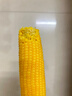 新鮮黃糯白糯黑糯玉米真空包裝速食玉米軟糯香甜代餐早餐美味 黃糯玉米180g-220g 2根裝 曬單實(shí)拍圖