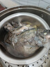 GUO LIAN國聯(lián)水產(chǎn)三去羅非魚4條共2.8斤凈重非洲鯽魚水產(chǎn)生鮮食材源頭直發(fā) 曬單實拍圖