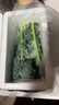 羽衣甘藍新鮮生鮮蔬菜嫩葉甘蘭芥藍西餐沙拉榨汁減肥減脂 羽衣甘藍減脂嘗鮮裝1斤 曬單實(shí)拍圖