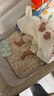 好奇（Huggies）小森林紙尿褲S62片(4-8kg)尿不濕心鉆【透氧頂配更低敏】 曬單實(shí)拍圖