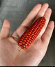 歐陽(yáng)先生【歐陽(yáng)先生】文玩小玉米盤(pán)玩手把件迷你玉米新寵紅色玉米可做手串 普通小玉米簡(jiǎn)約版GSF-B07-201 曬單實(shí)拍圖