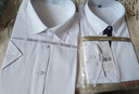 匆蒙職業(yè)襯衫女春夏通勤百搭短袖襯衫女內(nèi)搭女商務(wù)通勤職業(yè)裝簡約修身 曬單實拍圖