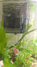徹朗魚缸過濾器瀑布過濾器三合一凈水循環(huán)壁掛式制氧除油膜器 【濾倉空間提升35%】6W 適用60以內(nèi)魚缸 曬單實拍圖