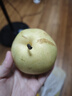 青皮皇冠梨肉質(zhì)酥脆甘甜多汁當(dāng)季新鮮水果中翠梨 帶箱2斤 單果200g+ 曬單實拍圖
