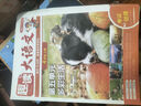 開心小學(xué)生趣讀大語文一二三四五年級(jí)上冊同步語文教材課本單元2025新人教版基礎(chǔ)知識(shí)點(diǎn)匯總預(yù)習(xí)拓展美文閱讀理解專項(xiàng)訓(xùn)練作文素材百科文學(xué)常識(shí) 四年級(jí)上 趣讀大語文（全8冊） 曬單實(shí)拍圖
