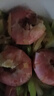 鮮拔頭籌 【超大】阿根廷紅蝦 凈重4斤 30-50只特大L1紅蝦冰蝦 L1紅蝦 4斤(凈重) 曬單實(shí)拍圖
