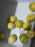 廣西欽蜜9號黃金百香果萬(wàn)澄當季新鮮大果黃皮果奶茶店水果 【1斤 約11-17個(gè)】單果30-45g 曬單實(shí)拍圖