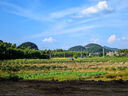 唯卓仕（VILTROX）AF 56mm F1.7 Z尼康口大光圈自動(dòng)對焦人像定焦鏡頭適用于Z30 Z50 ZFC Z50II微單相機  曬單實(shí)拍圖