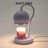 野獸派（THE BEAST）【中秋節禮品】巴黎鳶尾小小鈴蘭燈禮盒香薰蠟燭融蠟燈生日禮物 曬單實(shí)拍圖