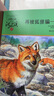 正版 狼王夢(mèng) 動(dòng)物小說(shuō)大王沈石溪全套40冊36冊 沈石溪全集品藏書(shū)系 狼王夢(mèng)斑羚飛渡最后一頭戰象等兒童文學(xué)中小學(xué)生課外書(shū) 沈石溪動(dòng)物小說(shuō)全套 當當書(shū)店官方旗艦店  升級版（黃綠特輯 套裝共12冊） 曬單實(shí)拍圖
