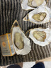 鮮海道 鮮活乳山生蠔5XL 凈重5斤 9-12只 生鮮海鮮貝類 源頭直發(fā) 曬單實(shí)拍圖