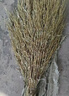 采易樂(lè ) 大掃把 學(xué)校工廠(chǎng)環(huán)衛竹掃把馬路物業(yè)柏油道路地面清潔掃帚笤帚 3.5斤竹枝連體03237 曬單實(shí)拍圖