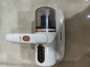 奧克斯（AUX）無線除螨儀家用手持小型床寶吸塵器床上大吸力除菌除螨蟲除塵器拍打AXC-11DC59B 椰奶白+3濾芯 曬單實(shí)拍圖