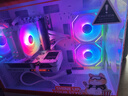 七彩虹橘貓定制主機酷睿i5 13400F RTX5060Ti顯卡臺式機電腦4060Ti吃雞游戲AI直播設計DIY組裝整機 配三丨i5 13400F丨RTX5060 8G 丨16GB內存丨512GB M 曬單實拍圖