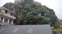 新款汽車(chē)玻璃油膜擦去除強力去污凈前擋側窗后視鏡鍍膜劑清潔刷子 汽車(chē)油膜清潔刷【送1瓶補充液】 曬單實(shí)拍圖