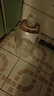 牛欄山二鍋頭 桶裝酒 大桶酒 清香風(fēng)格 62度5L*1桶 單桶裝 中秋送禮 曬單實(shí)拍圖