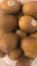 佳沛（zespri）新西蘭  陽(yáng)光金奇異果巨大果22粒原箱 單果重約144-175g 獼猴桃 曬單實(shí)拍圖
