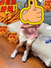NEW BALANCE nb童鞋0-14歲男女兒童經(jīng)典百搭網(wǎng)面舒適防滑老爹鞋休閑運動(dòng)鞋530 【經(jīng)典熱銷(xiāo)款】白色/銀色530KA 26 （小童） 曬單實(shí)拍圖