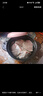 恒都 國(guó)產(chǎn)谷飼原切牛腱子 3斤 含腱子芯 生鮮牛肉 燉煮健身食材 曬單實(shí)拍圖
