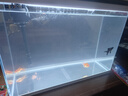 長(cháng)銳魚(yú)缸客廳大型造景生態(tài)超白玻璃家用辦公室免換水水族箱 超白MC660【長(cháng)65x寬30x高50cm】 曬單實(shí)拍圖