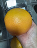 京鮮生 南非進口紅心西柚/葡萄柚4粒裝 單果280g起 新鮮水果 曬單實拍圖