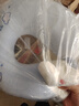 名創(chuàng)優(yōu)品（MINISO）大耳狗U型枕 記憶棉辦公室午睡枕旅行頸枕午休枕汽車頭靠枕 曬單實(shí)拍圖