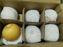 京鮮生山東煙臺萊陽秋月梨凈重8.5斤 單果300g+ 生鮮水果 源頭直發(fā)包郵 曬單實拍圖