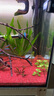 徹朗魚(yú)缸氧氣泵5w靜音增氧泵魚(yú)缸打氧泵小型加氧泵增氧機+氣石 曬單實(shí)拍圖