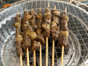 鮮京采內(nèi)蒙古孜然羊肉串凈重2斤 （50串）露營(yíng)戶外燒烤 京東自有品牌 曬單實(shí)拍圖